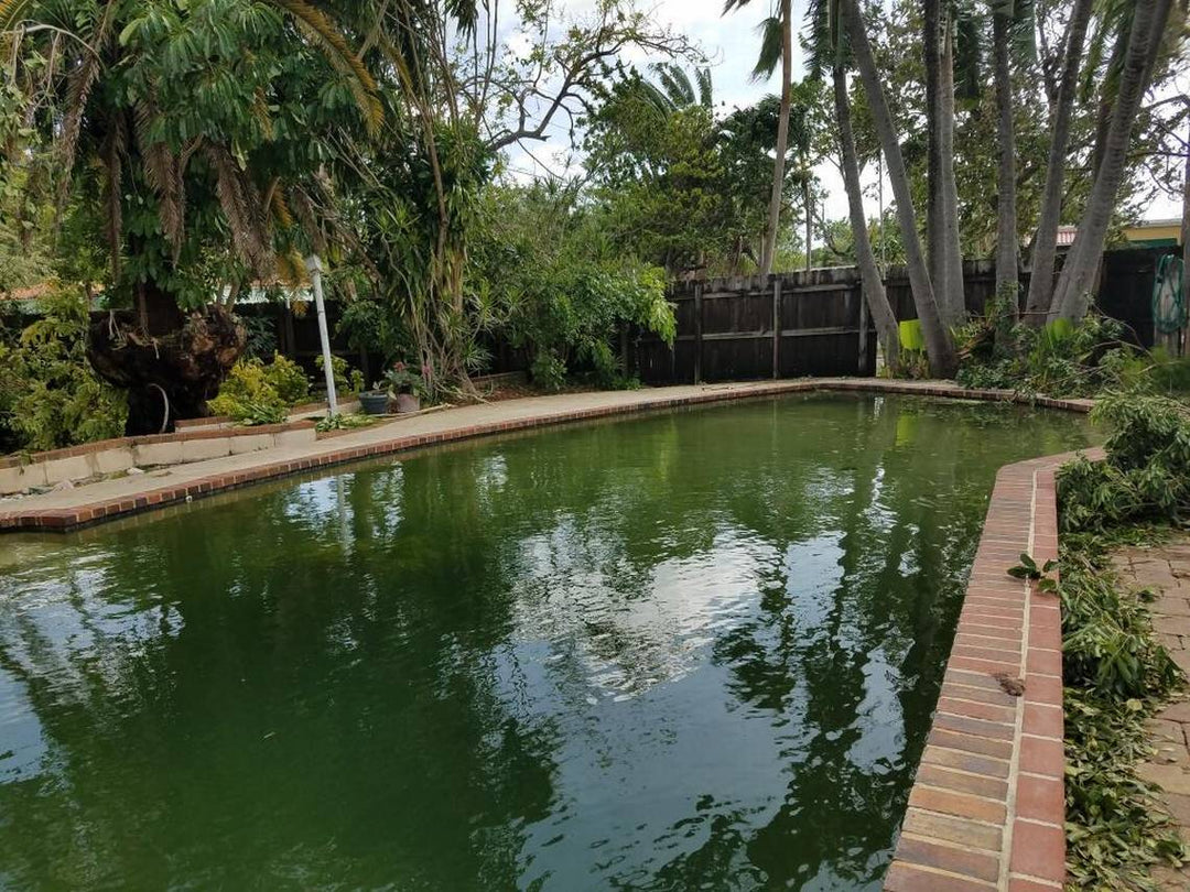 How to Clean Your Pool After a Storm