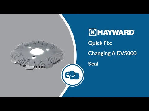 How To Replace Hayward DV5000 Seal