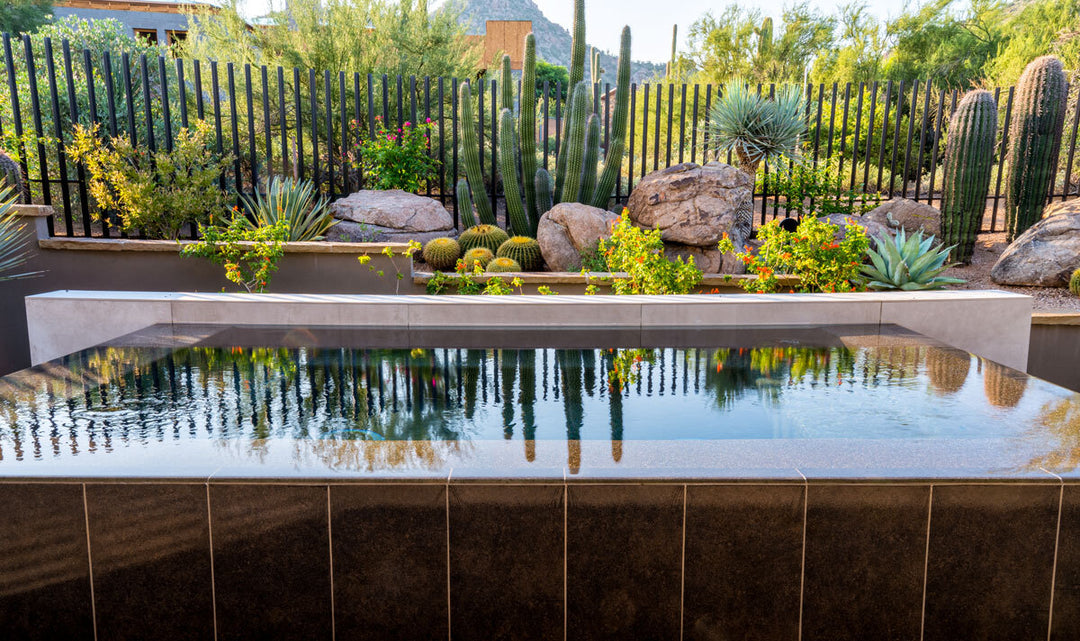 How to decide which plants are best for your pool landscape!