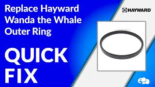 Hayward Wanda the Whale Outer Ring Overview!