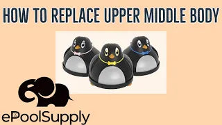 Hayward Penguin Upper Middle Body Overview!