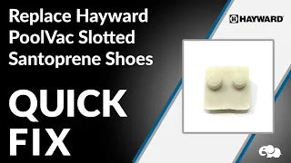 Hayward Wanda the Whale Slotted Santoprene Shoes Overview!