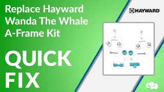 Hayward Wanda the Whale A-Frame Kit Overview!