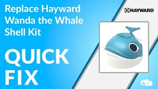 Hayward Wanda The Whale Shell Assembly Kit Overview!