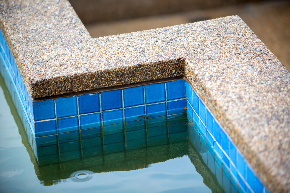 algae in swimming pool