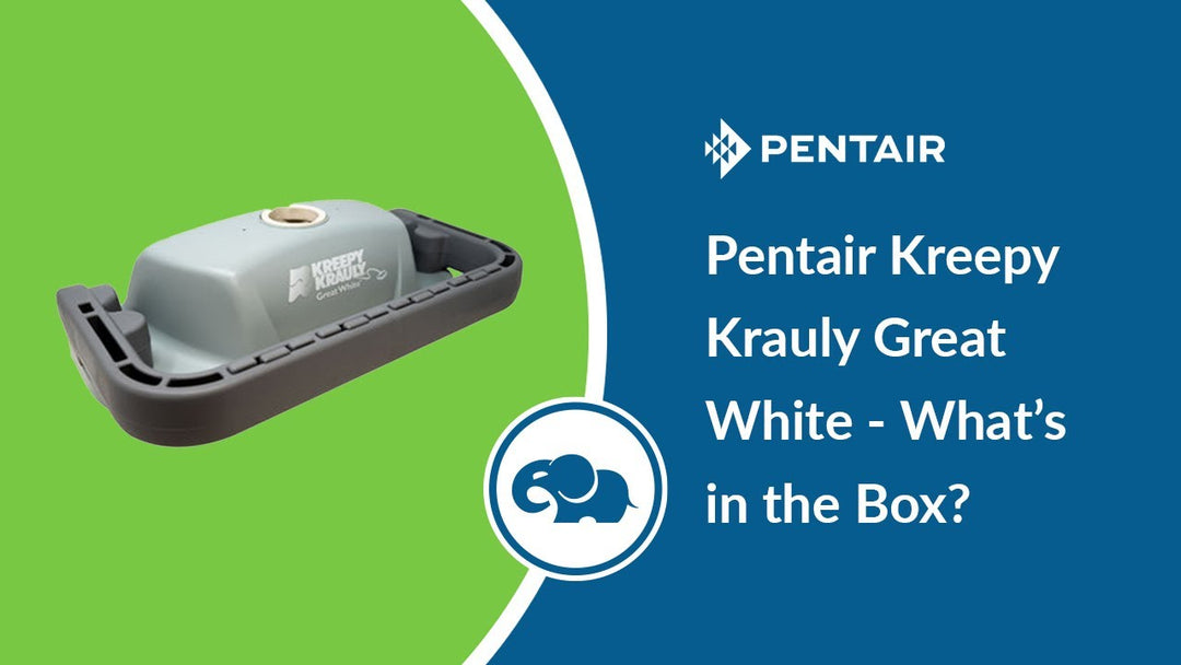 Pentair Kreepy Krauly Great White - What's In The Box