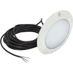 EvenGlow Niched Pool Light