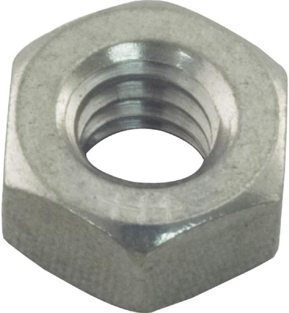 IntelliFloVSF/WhisperFlo VST Pump Nut 1/4-20 Hex SS-2 || 071406