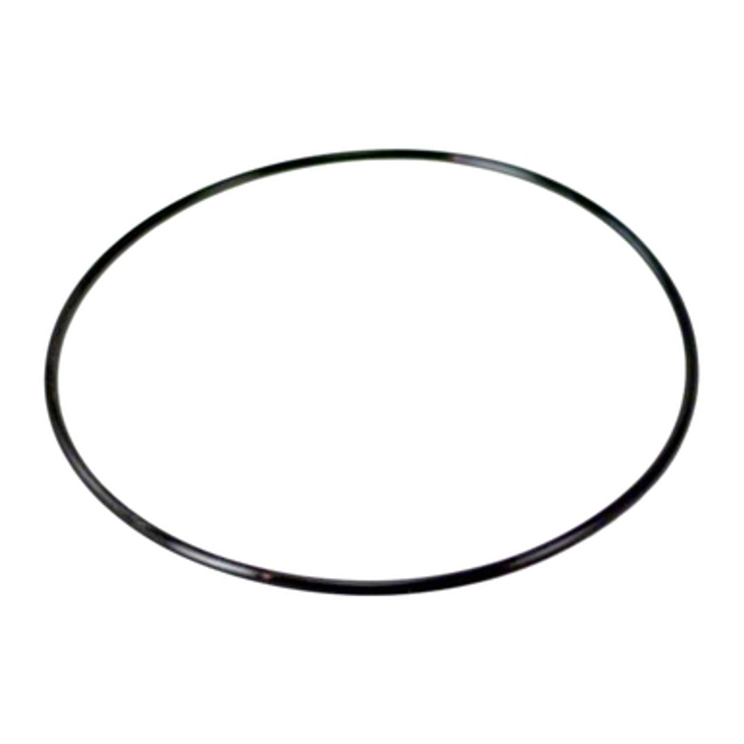 Pentair O-Ring Clear Black Replacement | 154493Z