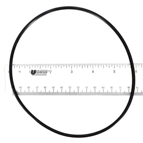 Pentair O-Ring Clear Black Replacement | 154493Z