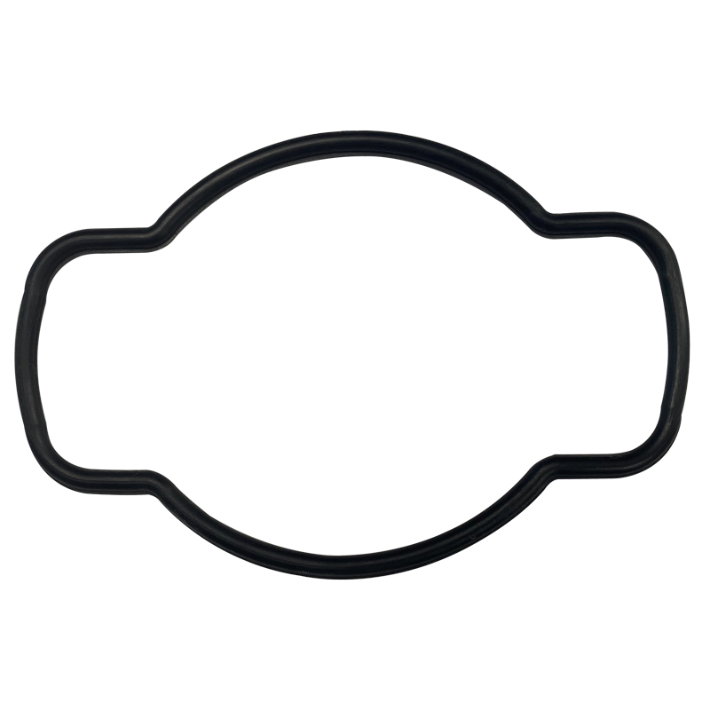 G-440-Bagged Gasket - Aladdin