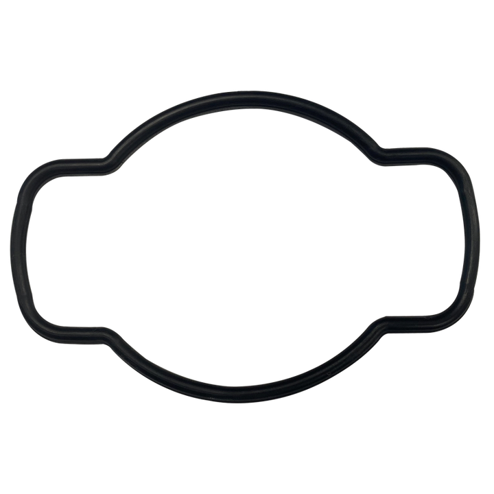 G-440-Bagged Gasket - Aladdin