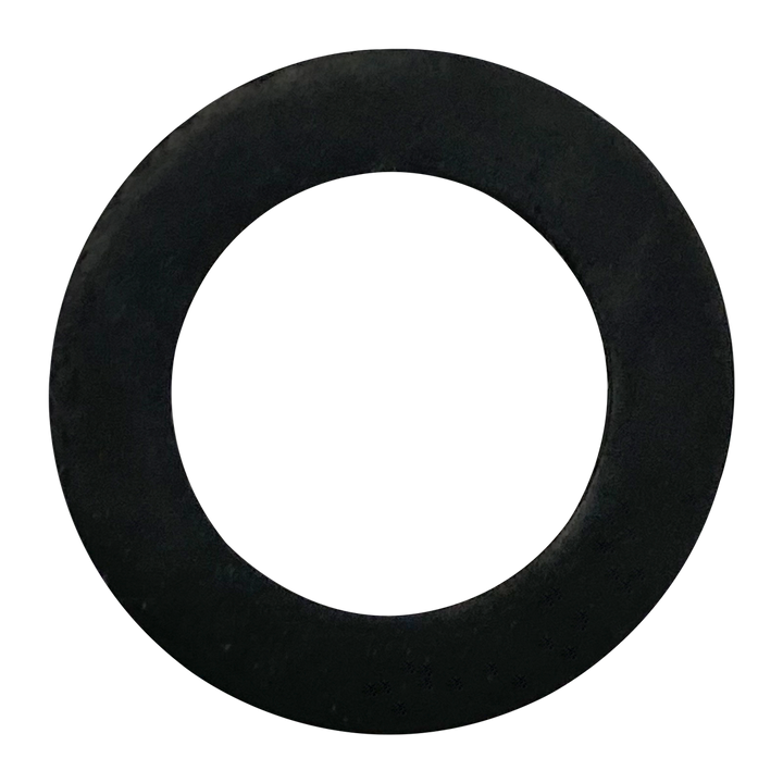 Astral (00612R0001) Filter Gasket || G-84-Bagged