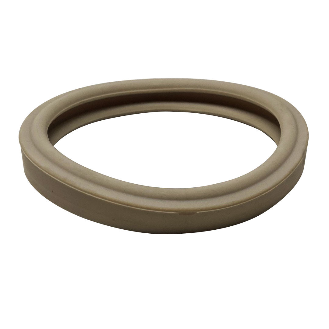 Pentair Replacement Lens Gasket | 79108500