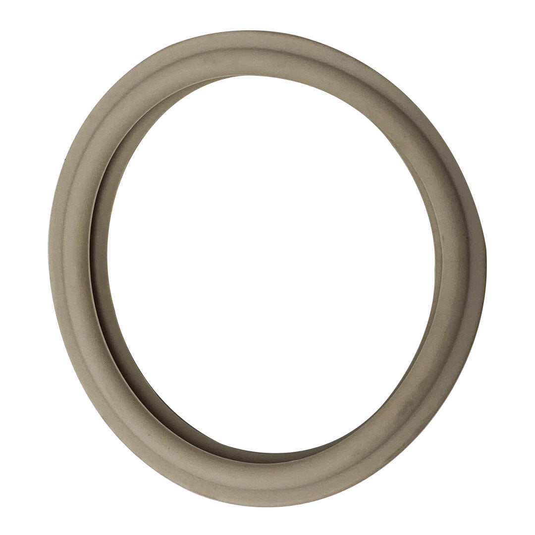 Pentair Replacement Lens Gasket | 79108500