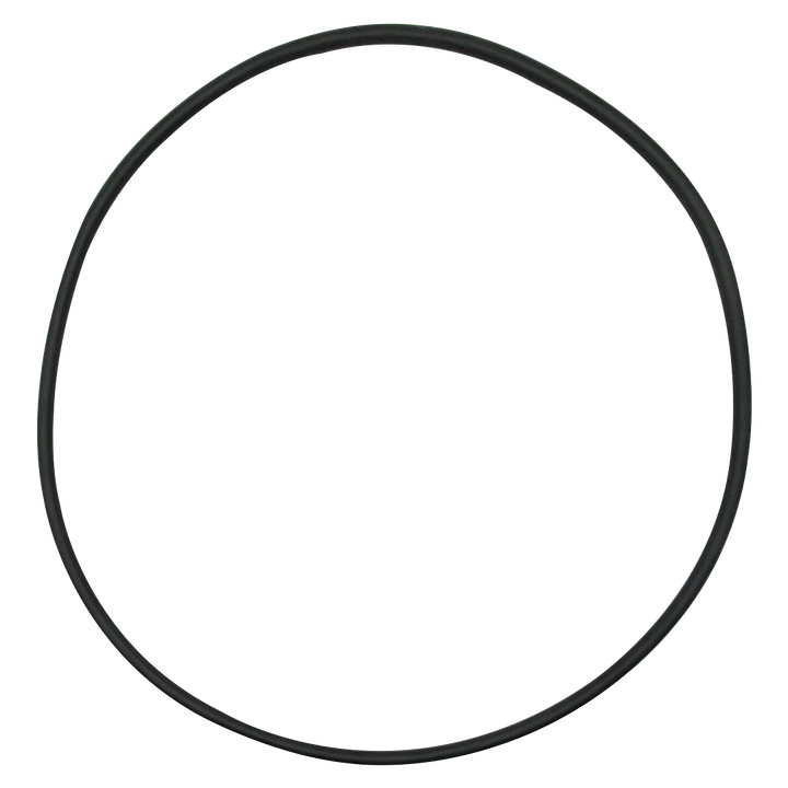 Jacuzzi (47-0569-99-R) EarthWorks/Triclops Tank O-Ring || O-101-BAGGED