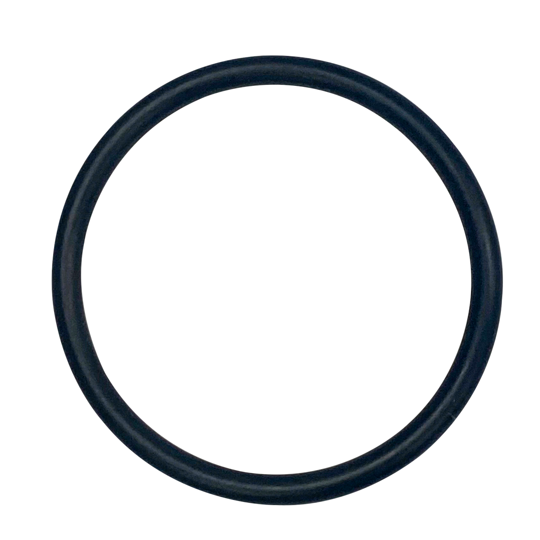 Hayward (SPX1022CZ2) Seal Plug O-Ring || O-125-BAGGED