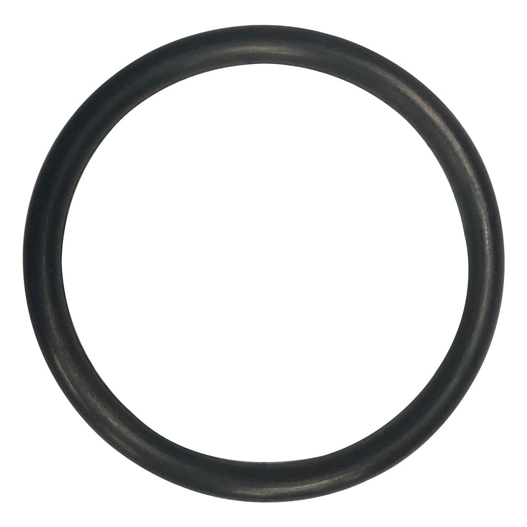 Jandy (R0358800) Drain Plug O-Ring Only CL Series/DEL Series || O-227-BAGGED