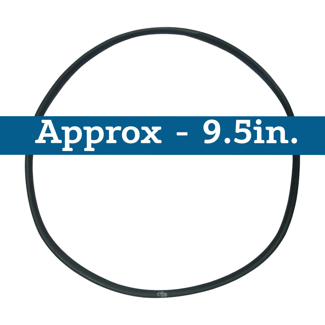 Hayward (SPX4000T) Seal Plate O-Ring NorthStar || O-239-BAGGED