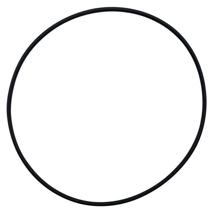 American (421612) Power Glas Volute O-Ring || O-257-BAGGED