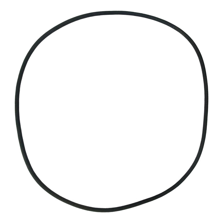 Ampro (1403) Cover Gasket O-Ring || O-309-BAGGED