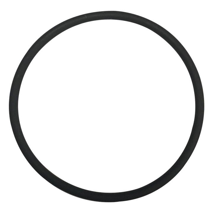 Advance (0V-11-028) Chlorinator Viton O-Ring || O-32v-BAGGED