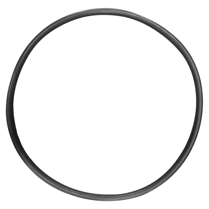 American (87300400) Predator/Warrior/Clean & Clear Filter Body O-Ring || O-343-BAGGED