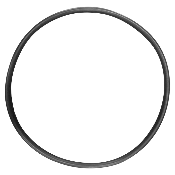 American (87300400) Predator/Warrior/Clean & Clear Filter Body O-Ring || O-343-BAGGED