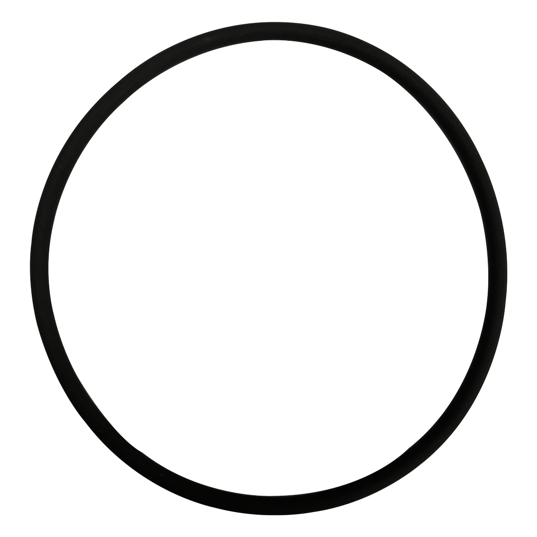 Fischer-Porter (101W718U01) Chlorinator Viton O-Ring || O-357V-BAGGED