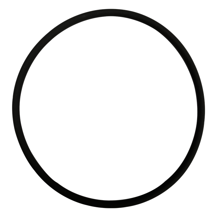 Fischer-Porter (101W718U01) Chlorinator Viton O-Ring || O-357V-BAGGED