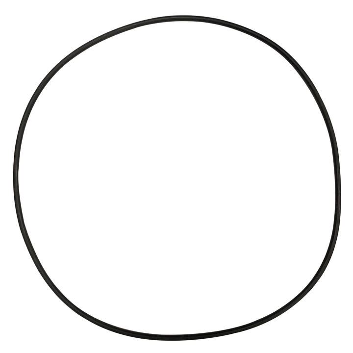 O-393V-Bagged Gasket - Aladdin