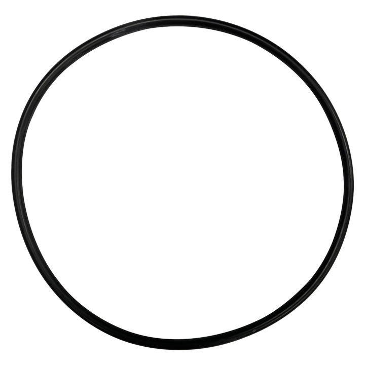 American (79200500) Plastic Niche O-Ring || O-445-BAGGED