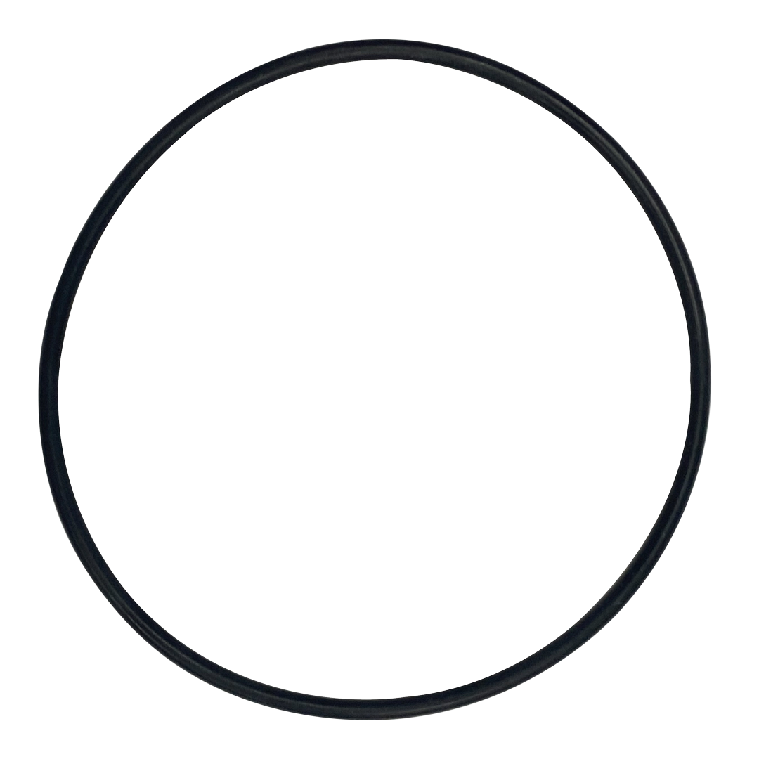 Rainbow (37121) O-Ring for Plate-Concorde || O-613-BAGGED