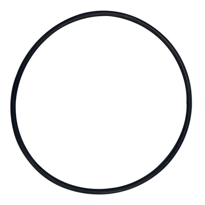 Rainbow (37121) O-Ring for Plate-Concorde || O-613-BAGGED