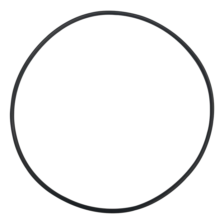 O-618-Bagged Gasket - Aladdin