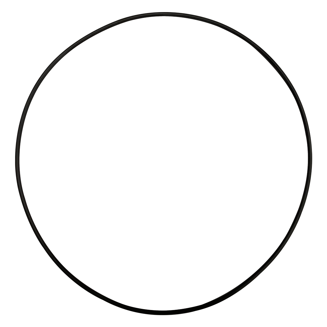 O-624-Bagged Gasket - Aladdin