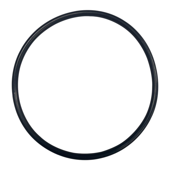 O-646-Bagged Gasket - Aladdin