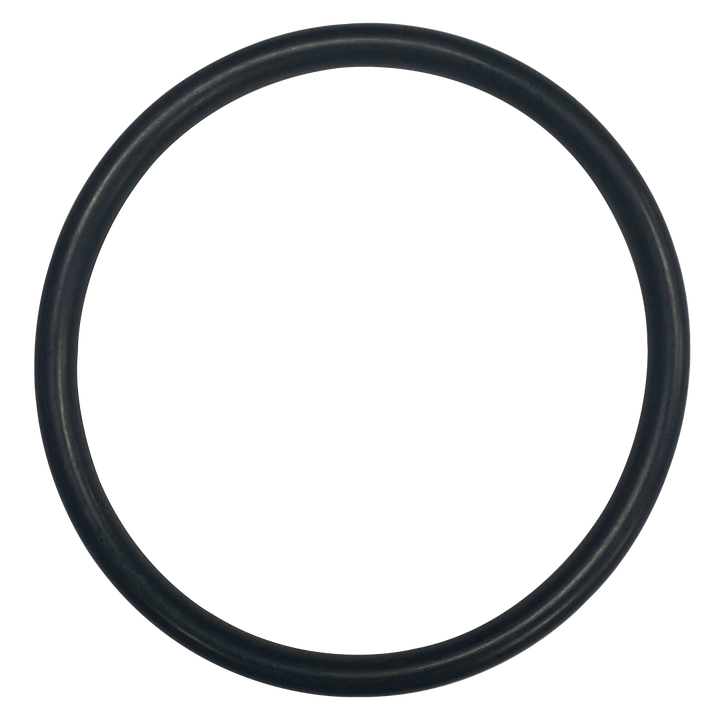 O-650-Bagged Gasket - Aladdin