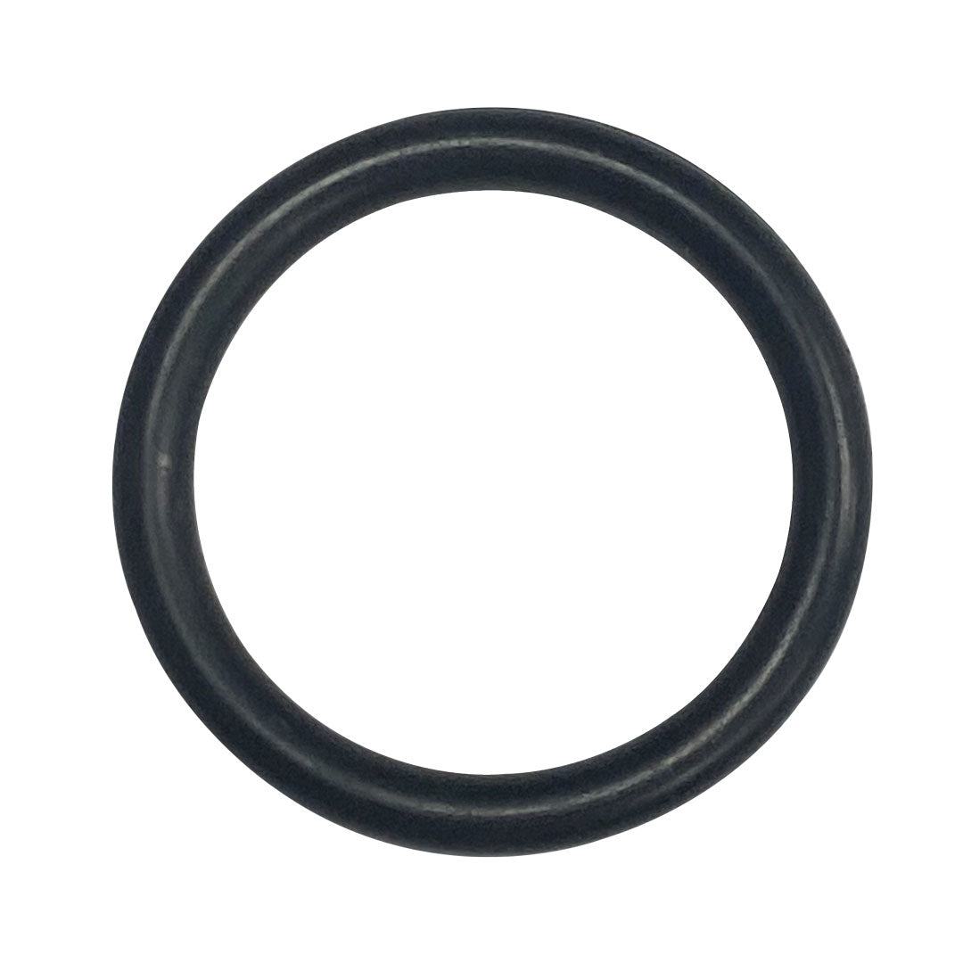 O-667-Bagged Gasket - Aladdin