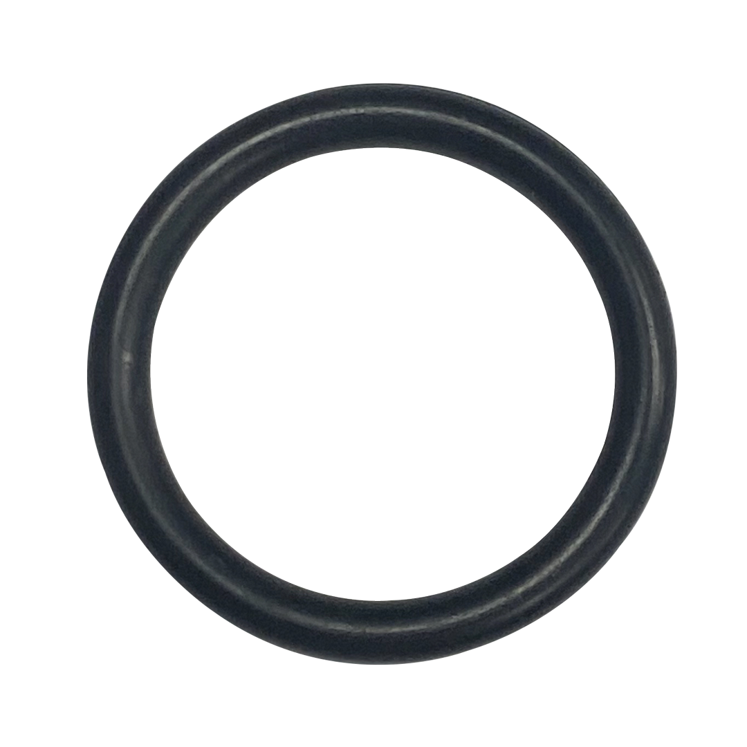 O-667-Bagged Gasket - Aladdin