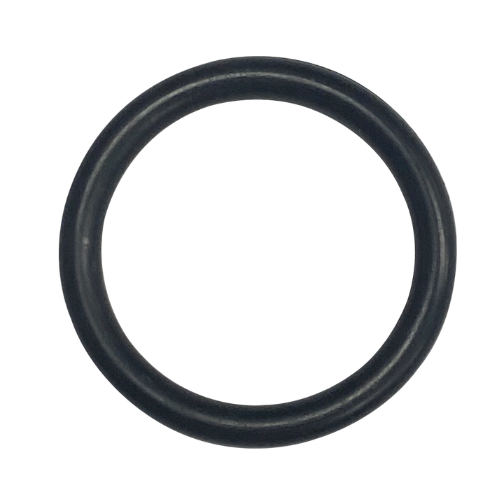 O-667-Bagged Gasket - Aladdin