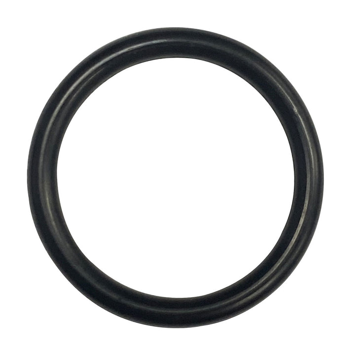 O-668-Bagged Gasket - Aladdin