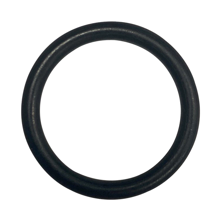 O-669-Bagged Gasket - Aladdin