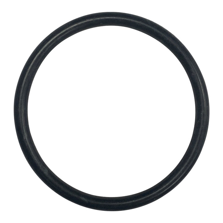 O-675-Bagged Gasket - Aladdin