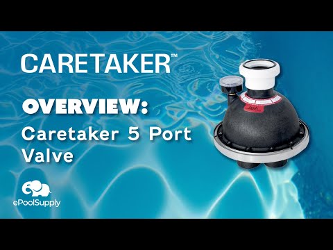 Caretaker 5-Port Top Housing for 2" Valves | 3-9-211