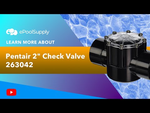 Pentair 2" Check Valve | 263042