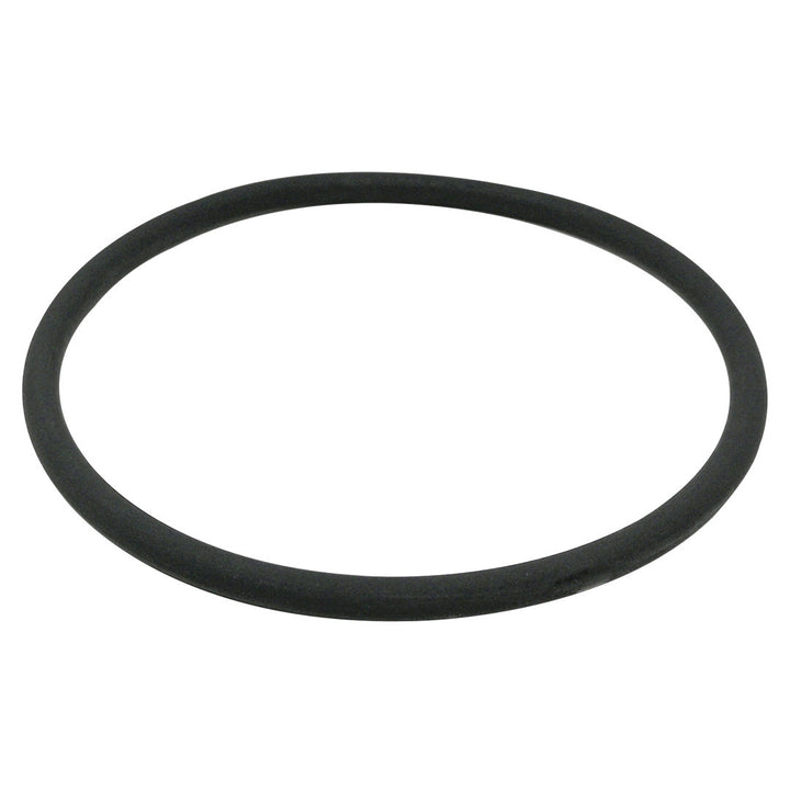 Pentair VITON O-rings for Chlorinator Rainbow Models 300/320