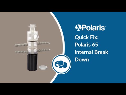 Polaris Vac-Sweep 165 / 65 and Turbo Turtle Mechanism | 6-400-00