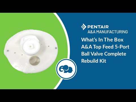 Top Feed Complete 5 Port Ball Valve Rebuild Kit - Pentair In-Floor(A&A)