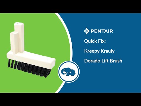 Pentair Kreepy Krauly Great White / Dorado Lift Brush | GW9517